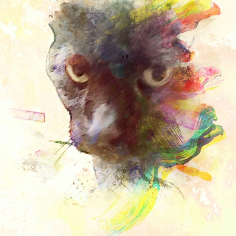 Meet your Posher, Aubrey